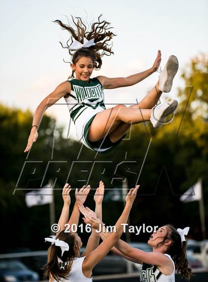 Thumbnail 1 in Ponder @ Santo (Homecoming) photogallery.