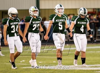 Thumbnail 1 in Ponder @ Santo (Homecoming) photogallery.