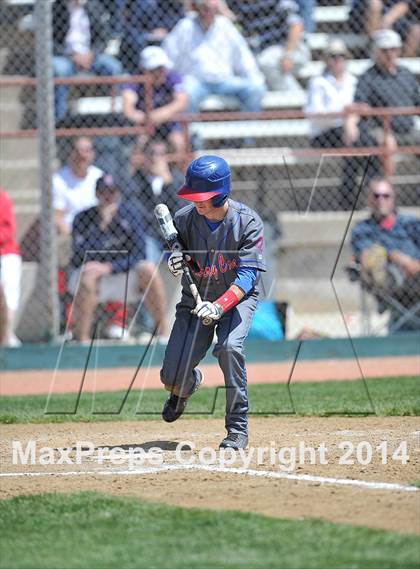 Thumbnail 2 in Chatfield vs. Cherry Creek (CHSAA 5A Round 1) photogallery.