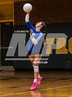 Photo from the gallery "Scotland @ Pine Forest"