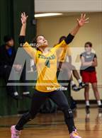 Photo from the gallery "Scotland @ Pine Forest"