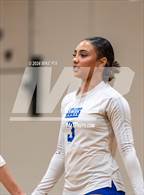 Photo from the gallery "Scotland @ Pine Forest"