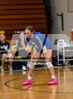 Photo from the gallery "Scotland @ Pine Forest"