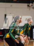 Photo from the gallery "Scotland @ Pine Forest"