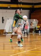 Photo from the gallery "Scotland @ Pine Forest"