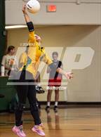 Photo from the gallery "Scotland @ Pine Forest"