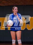 Photo from the gallery "Scotland @ Pine Forest"