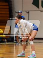 Photo from the gallery "Scotland @ Pine Forest"