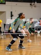 Photo from the gallery "Scotland @ Pine Forest"