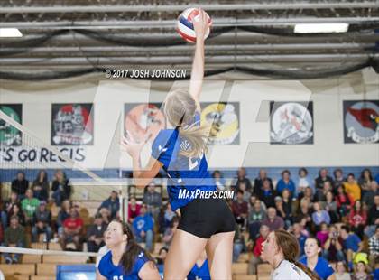 Thumbnail 1 in Regis @ McDonell Central photogallery.