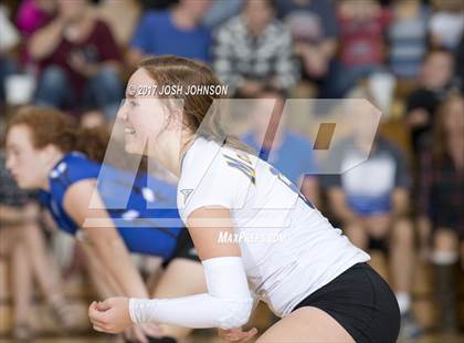 Thumbnail 2 in Regis @ McDonell Central photogallery.