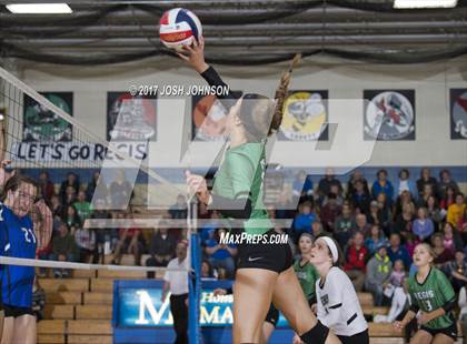 Thumbnail 2 in Regis @ McDonell Central photogallery.