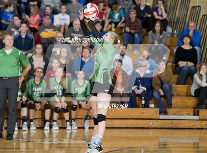 Thumbnail 2 in Regis @ McDonell Central photogallery.