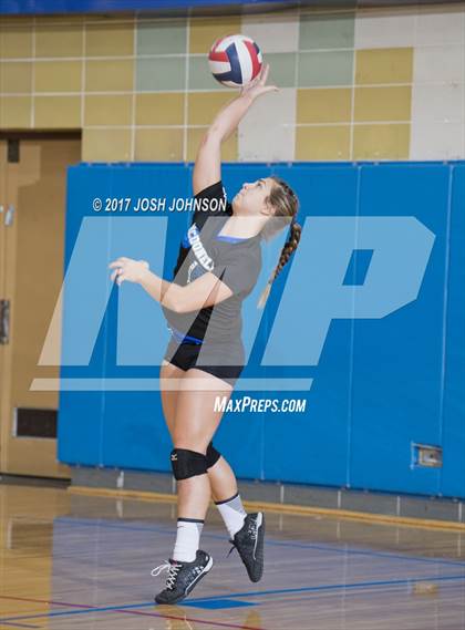 Thumbnail 2 in Regis @ McDonell Central photogallery.