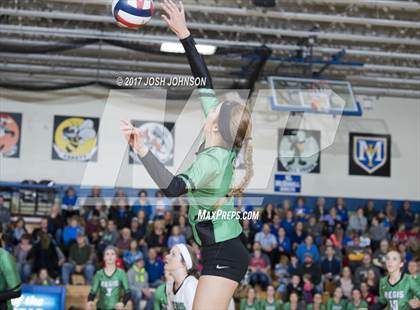 Thumbnail 3 in Regis @ McDonell Central photogallery.