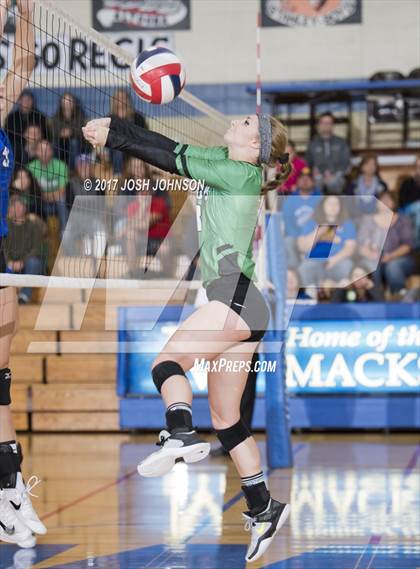 Thumbnail 2 in Regis @ McDonell Central photogallery.