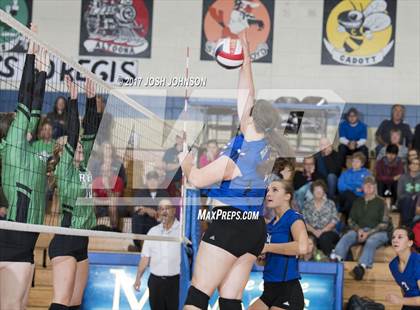 Thumbnail 2 in Regis @ McDonell Central photogallery.