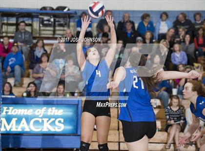 Thumbnail 2 in Regis @ McDonell Central photogallery.