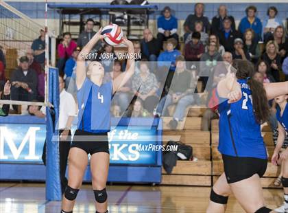 Thumbnail 1 in Regis @ McDonell Central photogallery.