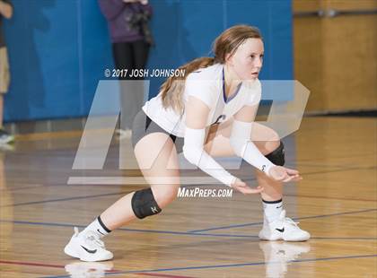 Thumbnail 1 in Regis @ McDonell Central photogallery.