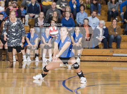 Thumbnail 2 in Regis @ McDonell Central photogallery.