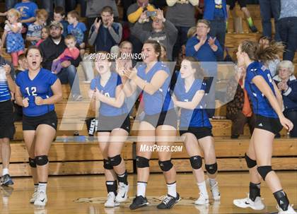 Thumbnail 3 in Regis @ McDonell Central photogallery.