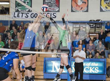 Thumbnail 3 in Regis @ McDonell Central photogallery.