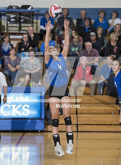 Thumbnail 2 in Regis @ McDonell Central photogallery.