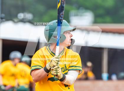 Thumbnail 3 in Pine Forest @ Terry Sanford photogallery.