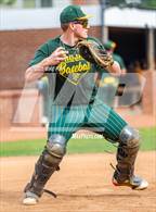 Photo from the gallery "Pine Forest @ Terry Sanford"