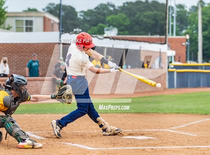 Thumbnail 3 in Pine Forest @ Terry Sanford photogallery.