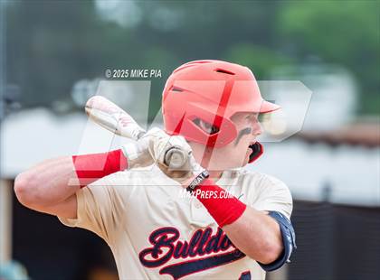 Thumbnail 1 in Pine Forest @ Terry Sanford photogallery.