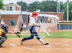 Photo from the gallery "Pine Forest @ Terry Sanford"