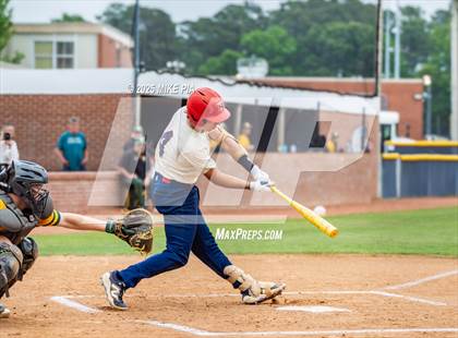 Thumbnail 2 in Pine Forest @ Terry Sanford photogallery.