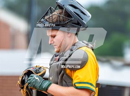 Thumbnail 1 in Pine Forest @ Terry Sanford photogallery.