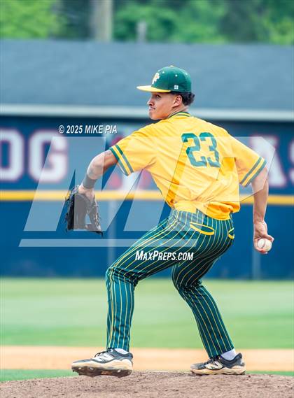 Thumbnail 3 in Pine Forest @ Terry Sanford photogallery.