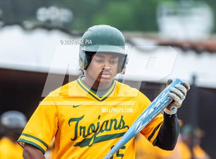 Thumbnail 1 in Pine Forest @ Terry Sanford photogallery.