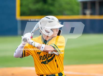 Thumbnail 1 in Pine Forest @ Terry Sanford photogallery.
