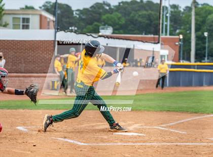 Thumbnail 2 in Pine Forest @ Terry Sanford photogallery.