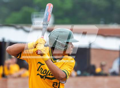 Thumbnail 1 in Pine Forest @ Terry Sanford photogallery.