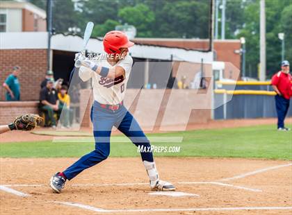 Thumbnail 1 in Pine Forest @ Terry Sanford photogallery.