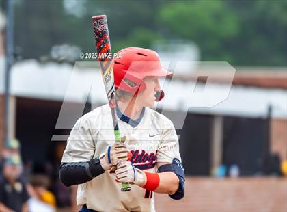 Thumbnail 3 in Pine Forest @ Terry Sanford photogallery.