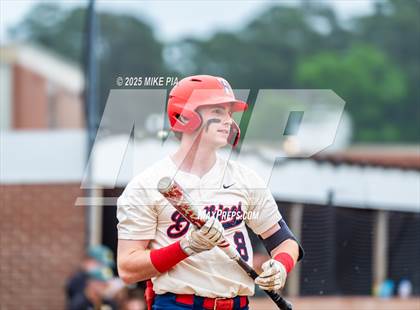 Thumbnail 1 in Pine Forest @ Terry Sanford photogallery.