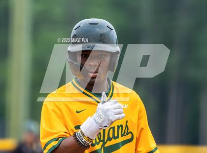 Thumbnail 2 in Pine Forest @ Terry Sanford photogallery.