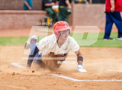 Thumbnail 3 in Pine Forest @ Terry Sanford photogallery.
