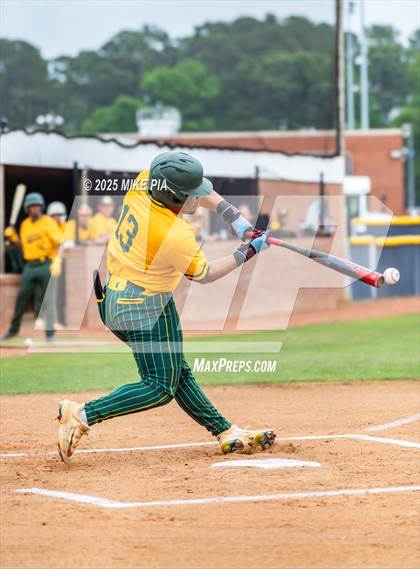 Thumbnail 1 in Pine Forest @ Terry Sanford photogallery.