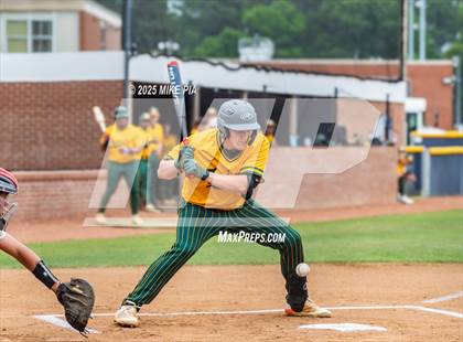 Thumbnail 3 in Pine Forest @ Terry Sanford photogallery.