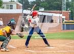 Photo from the gallery "Pine Forest @ Terry Sanford"
