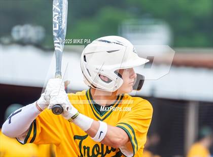 Thumbnail 1 in Pine Forest @ Terry Sanford photogallery.