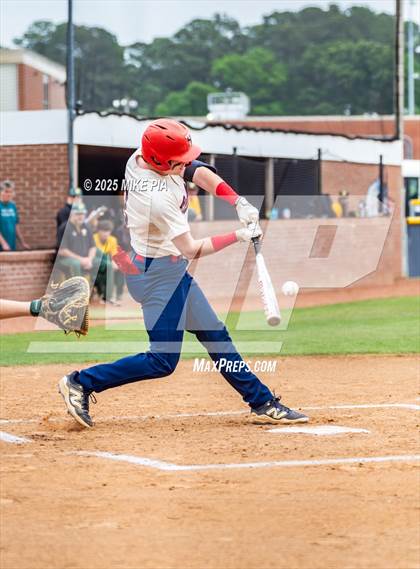 Thumbnail 3 in Pine Forest @ Terry Sanford photogallery.